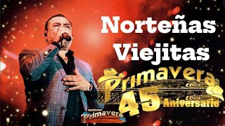 Conjunto Primavera  Puras Norteñas Viejitas Pero Bonitas  Norteñas Pa Pistear 2024 [upl. by Aileon]