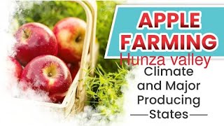 apple farming in Pakistan [upl. by Korman201]