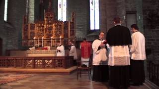 Traditional Latin Mass  Vadstena Pilgrimage 2013III [upl. by Oremodlab]