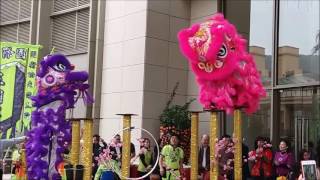 Chinese New Year 2017 Lion Dance  Discovery Bay Hong Kong [upl. by Arutek]