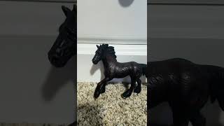 All of our Schleich in 15 seconds✨ schleich horse modelhorse tookforever [upl. by Oisinoid]