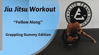 Jiu Jitsu Solo Workout with Grappling Dummy [upl. by Raleigh615]