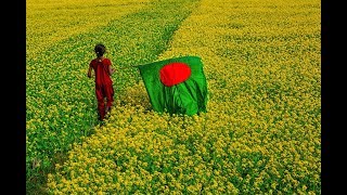 Amar Sonar Bangla Ami Tomai Valobashi Bangladesh National Song [upl. by Ahsimat671]