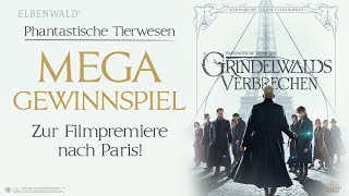 Wir bringen dich zur Weltpremiere von Grindelwalds Verbrechen [upl. by Colet]