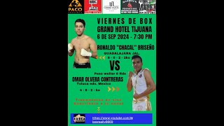 RONALDO CHACAL BRISEÑO VS OMAR OLVERA [upl. by Zared]