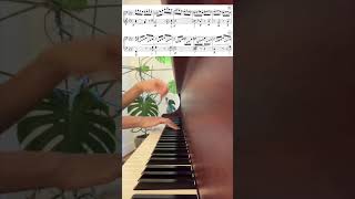 30 Minute Challenge Beethoven Appassionata Sonata Mvt 3 piano challenge [upl. by Nosnar]