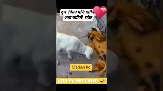 Halkaa comedy😂😂🤘🤘🙏💜💗💗💗🧡 [upl. by Joannes]