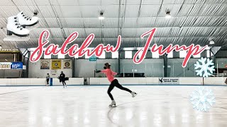 Single Salchow Jump  Figure Skating [upl. by Letsyrk]