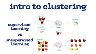 INTRO TO CLUSTERING  DIFFERENCE BETWEEN SUPERVISED AND UNSUPERVISED LEARNING [upl. by Janka]