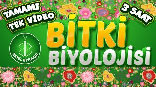 Bitki Biyolojisi Tekrar  TAMAMI TEK VİDEO  AYT Biyoloji Konu Anlatımı [upl. by Ellivnarg]