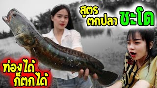 สูตรไม่ลับ ตกปลาชะโด ท่อง จำ ทำตาม ได้ตัว [upl. by Emmalynne891]