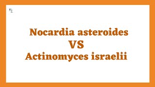 Nocardia asteroides vs actinomyces israelii [upl. by Etneciv]