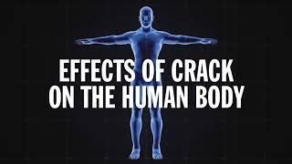 Science Behind Addiction Crack [upl. by Htabmas783]