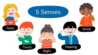 Five Senses Song for Kids  Learn About the Five Senses  Nursery Rhymes amp Kids Songs [upl. by Nikkie326]