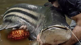 Finally Breaking The Tapah Curse  CATFISH  River Monsters [upl. by Leirad90]