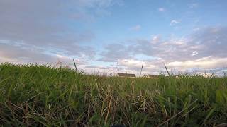 Walkera F210 fpv with GoPro Hero5 Session [upl. by Ellirehs]