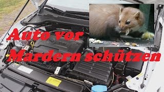 Mardersicher Auto vor Mardern schützen  Mardersicher Mobil MS12V Ultraschall und Strom [upl. by Yesnik616]