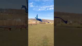 Remote control Avatar Banshee test flight [upl. by Ailecnarf712]