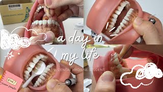 Vlog  Day in my Life as a Dental Hygiene Student  Summer Semester  Week 7  2024 [upl. by Norga]