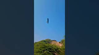 Some best activity on Aravalli hill gurugram aravalihills [upl. by Guilbert]