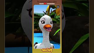 Sundari Amma  Animation Video kidscartoon malayalamcartoon animation animationsongs thakkudu [upl. by Rehpinej]