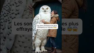 Les sons d’oiseaux les plus effrayants au monde 😱😨 [upl. by Azyl66]