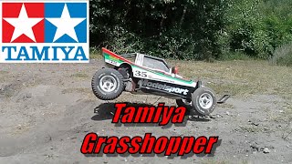 Tamiya Grasshopper Running Video 2024 [upl. by Couture]