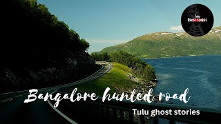 BANGALORE HAUNTED ROAD  TULU GHOST STORY [upl. by Augustine604]