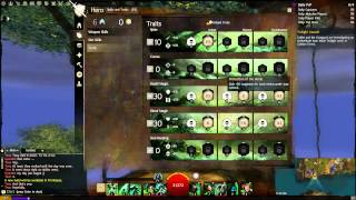 GW2 NEW Ultimate Minion Master Build Necromancer [upl. by Ruyle681]