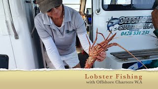 Lobster Fishing with Offshore Charters WA  Geraldton Western Australia [upl. by Lajes373]