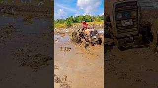 Tafe රූපෙට වශී උනාද Shorts Tafe tractor [upl. by Enneyehc]