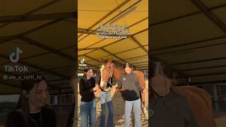 Tik tok di aleeraffi eLehorsestwins seguitele❤️fieracavalli [upl. by Ocirred27]