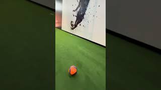 Robo goal keeper vs Dad [upl. by Bull409]