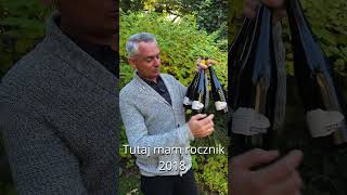 CZYM JEST DEGUSTACJA PIONOWA wino winos buywine foodandwine jedzenie natura wine drink [upl. by Mcclure]