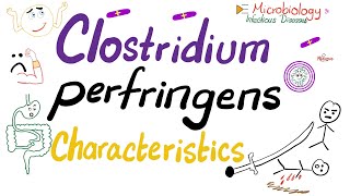 Clostridium perfringens Characteristics  Microbiology 🧫 [upl. by Hasheem]