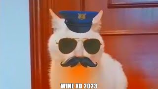 WINE XD 2023 [upl. by Akihc778]