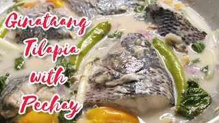 Ginataang Tilapia With Pechay  Tilapia Recipe  Lutong Pinoy [upl. by Zillah]