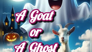 A Goat or a ghost Panchatantra story cartoon kids storytime virtuevibesthelitlantern [upl. by O'Donoghue]