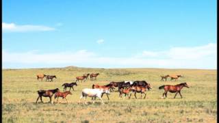 Köroğlu  Kazakistan  İrfan Gürdal [upl. by Hamish]