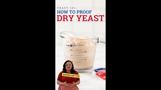 Yeast 101 How To Proof Dry Yeast [upl. by Hanny]