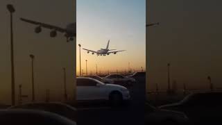 Landing into the sun ✈️😘shortsvideo shortsviral [upl. by Hogarth]