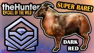 THERE IS NO WAY SUPER RARE DIAMOND DARK RED TAHR ON SUNDARPATAN IN THE HUNTER CALL OF THE WILD [upl. by Assin]