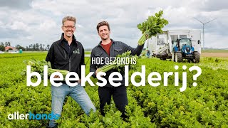 Is bleekselderij gezond  Dit is het seizoen  Allerhande [upl. by Yzzik]