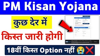 PM Kisan Yojana 18th Installment Option Not Showing  PM Kisan 18th Installment Payment Check [upl. by Ahseiuqal]