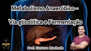 Metabolismo Anaeróbico  Via glicolítica e Fermentação [upl. by Einnaj]