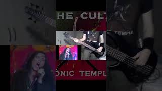 The Cult  Fire woman Bass cover shorts short basscover thecult firewoman rock bassplayer [upl. by Meehahs955]