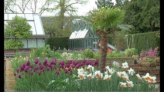 VOYAGE BOTANIQUE À LA DÉCOUVERTE DE LHORTUS BOTANICUS DE LEYDE Hollande [upl. by Clein]