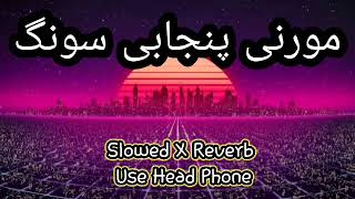 MOORNI  PUNJABI SONG  SLOWED X REVERB  LOFI MUSIC [upl. by Alyehs]