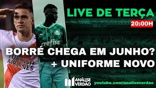 LIVE DE TERÇA  Borré chega em junho  Palmeiras passa segurança [upl. by Namilus]