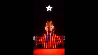 Musical Christmas light show to Sleigh Ride for 12 CCR tree [upl. by Leirza]